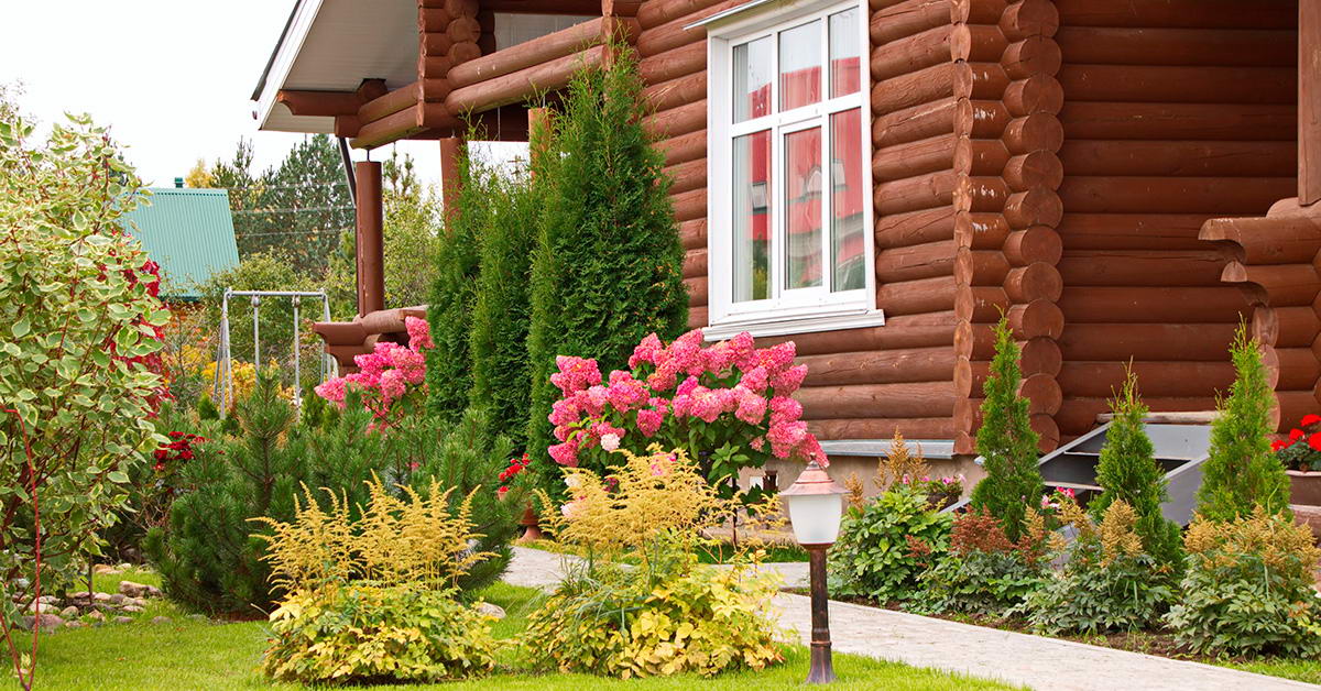 Як обрати вікна для дачі