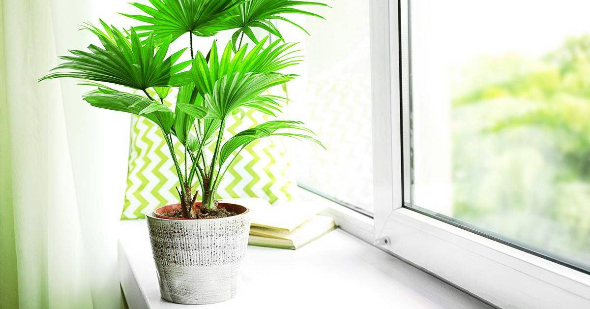 Переваги та недоліки пластикових вікон